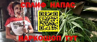 тгк Тула