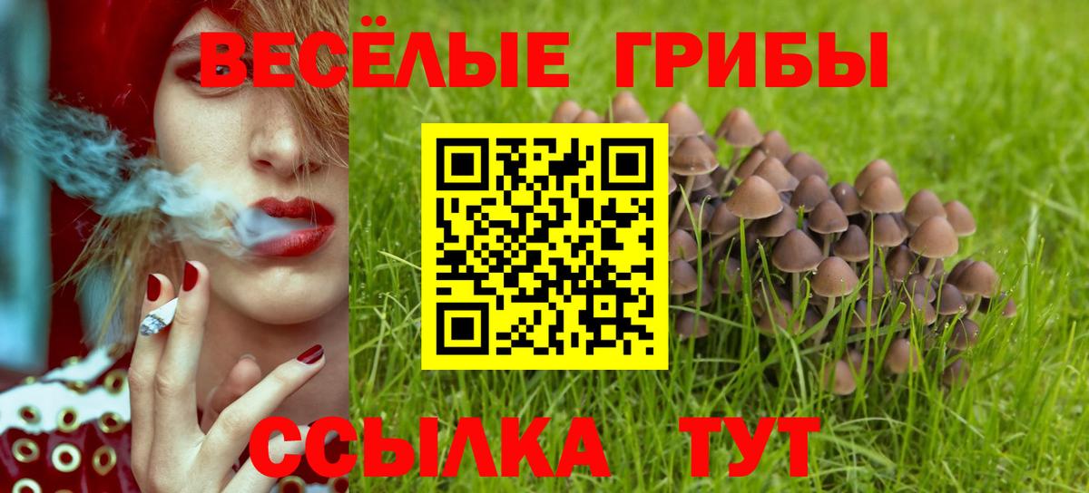 Псилоцибиновые грибы прущие грибы Набережные Челны
