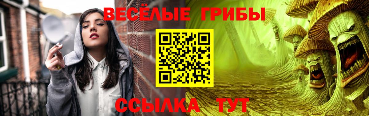 Набережные Челны  Псилоцибиновые грибы MAGIC MUSHROOMS  Вход с VPN 